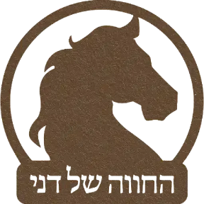 תמונה5